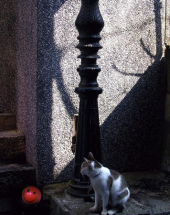 GP_2011_07_12_11_10_03_0