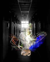 GP_2011_07_12_11_44_42_0