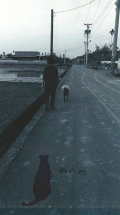GP_2014_08_14_06_35_38_0