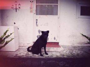 GP_2016_04_01_08_31_51_0