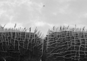 GP_2016_05_15_03_36_04_0
