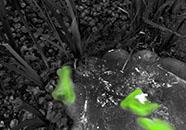 GP_2016_05_15_03_40_25_0