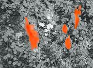 GP_2016_05_15_03_40_27_0