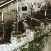 Processed with VSCO with m3 preset